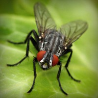 /album/couples-coquins/photolia-a01-jpg/