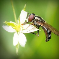 /album/couples-coquins/photolia-a02-jpg/