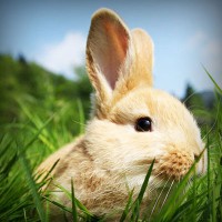 /album/couples-coquins/photolia-a03-jpg/