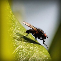 /album/couples-coquins/photolia-a04-jpg/