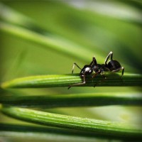 /album/couples-coquins/photolia-a05-jpg/