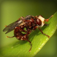 /album/couples-coquins/photolia-a06-jpg/