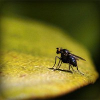 /album/couples-coquins/photolia-a07-jpg/