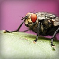 /album/couples-coquins/photolia-a08-jpg/